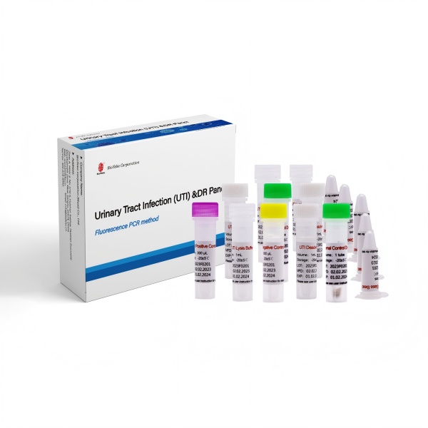 UTI PCR -készlet