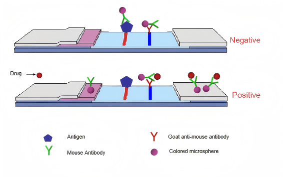 vizelet drogteszt elve