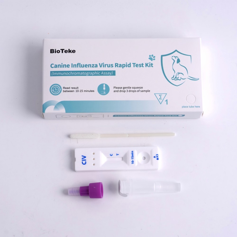 kutyainfluenza -teszt 