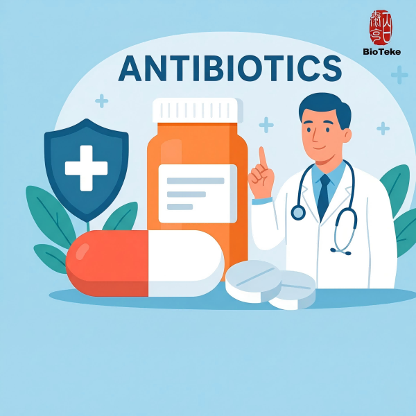 WAAW Antibiotikum Awearness Week: Alapvető betekintés a közegészségügybe