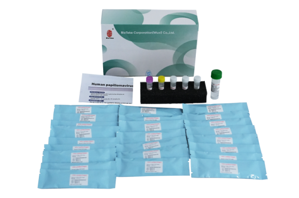 Humán papillomavírus HPV genotipizáló detektáló készlet (fluoreszcencia PCR módszer) 