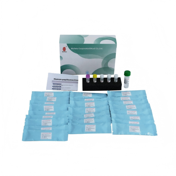 HPV genotípus -készlet