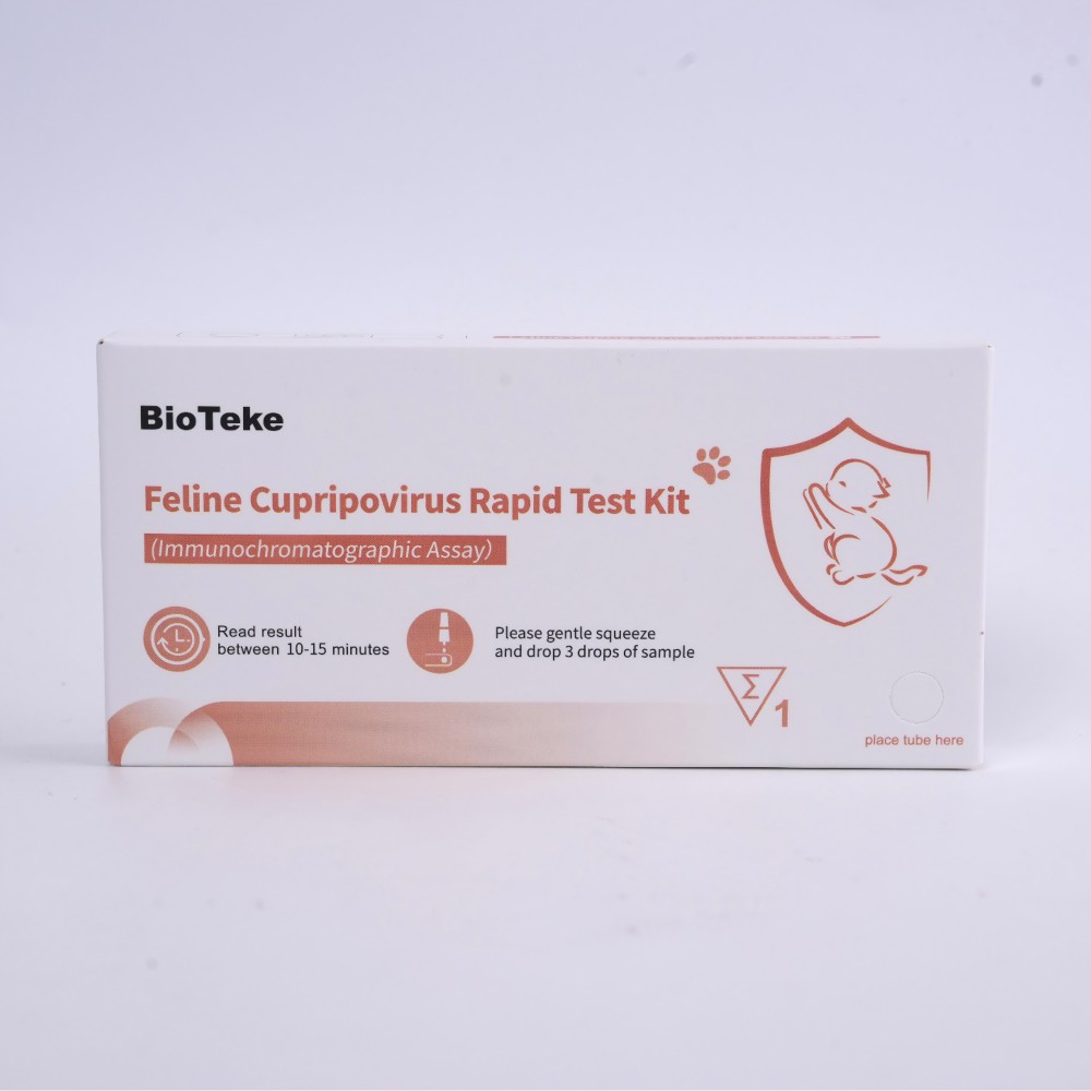 macska kalicivirus teszt 